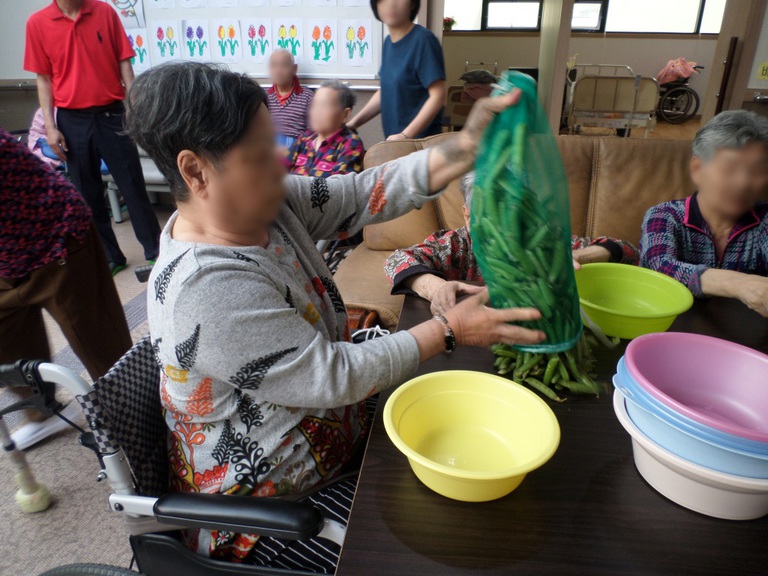 6월 4일 완두콩까기를 하였습니다.