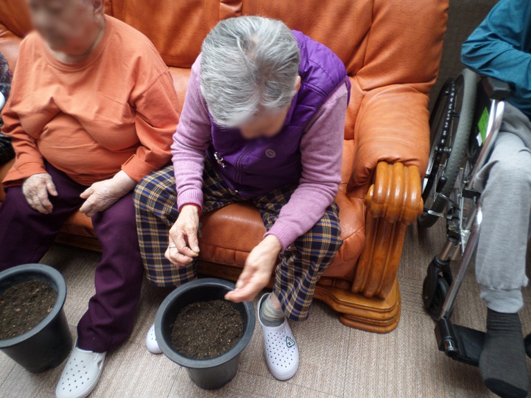 5월 15일 봉숭아 씨 심기를 진행하였습니다.